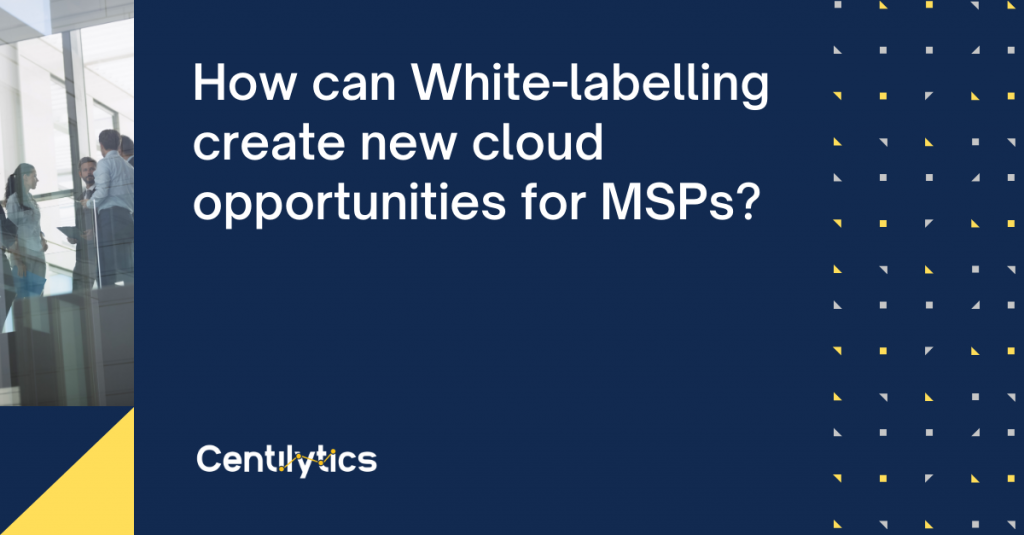 cloud MSP, Whitelabeling